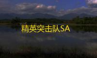 精英突击队SA